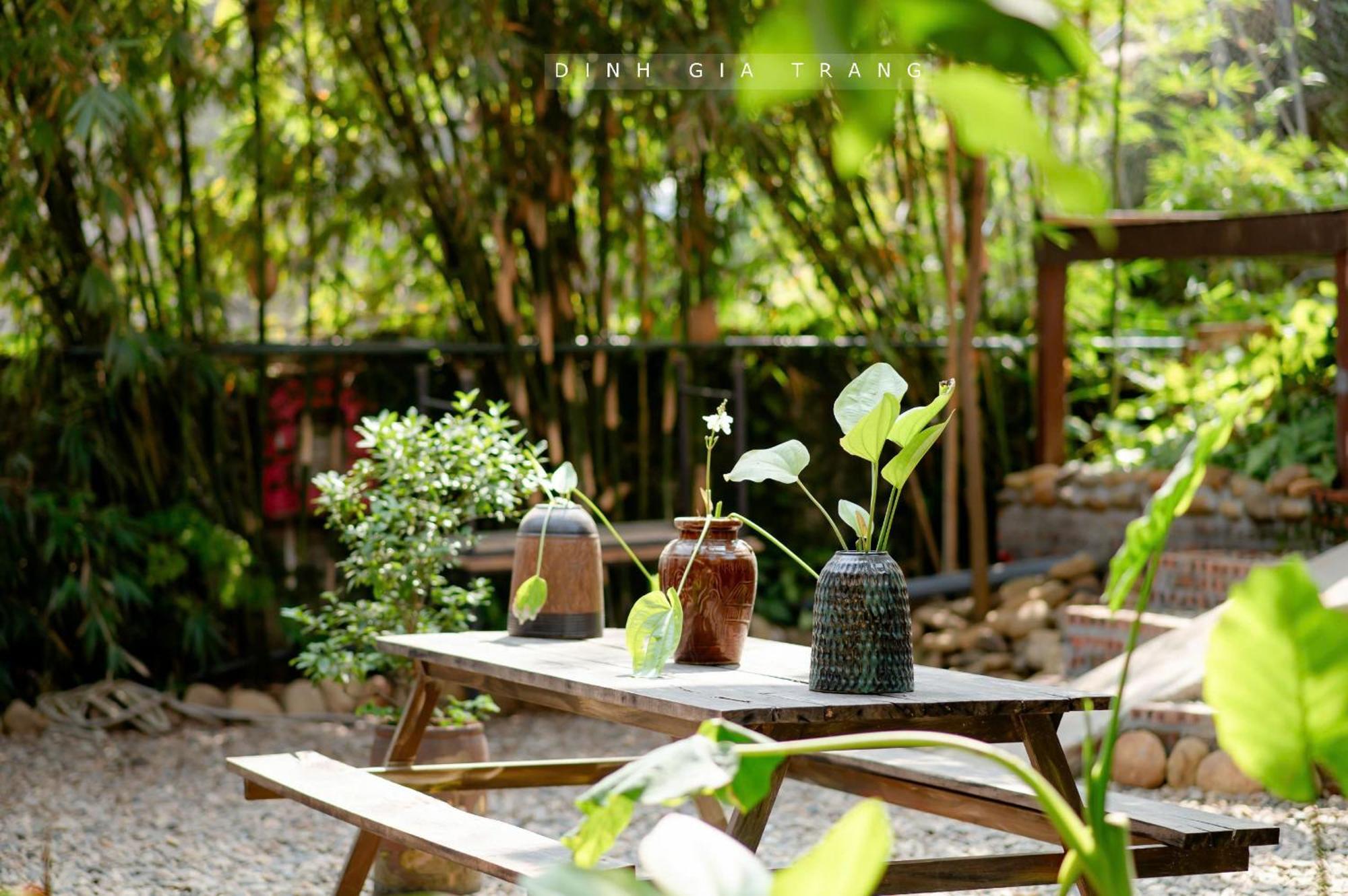 Dinh Gia Trang - Homestay & Coffee The Ruong Kültér fotó