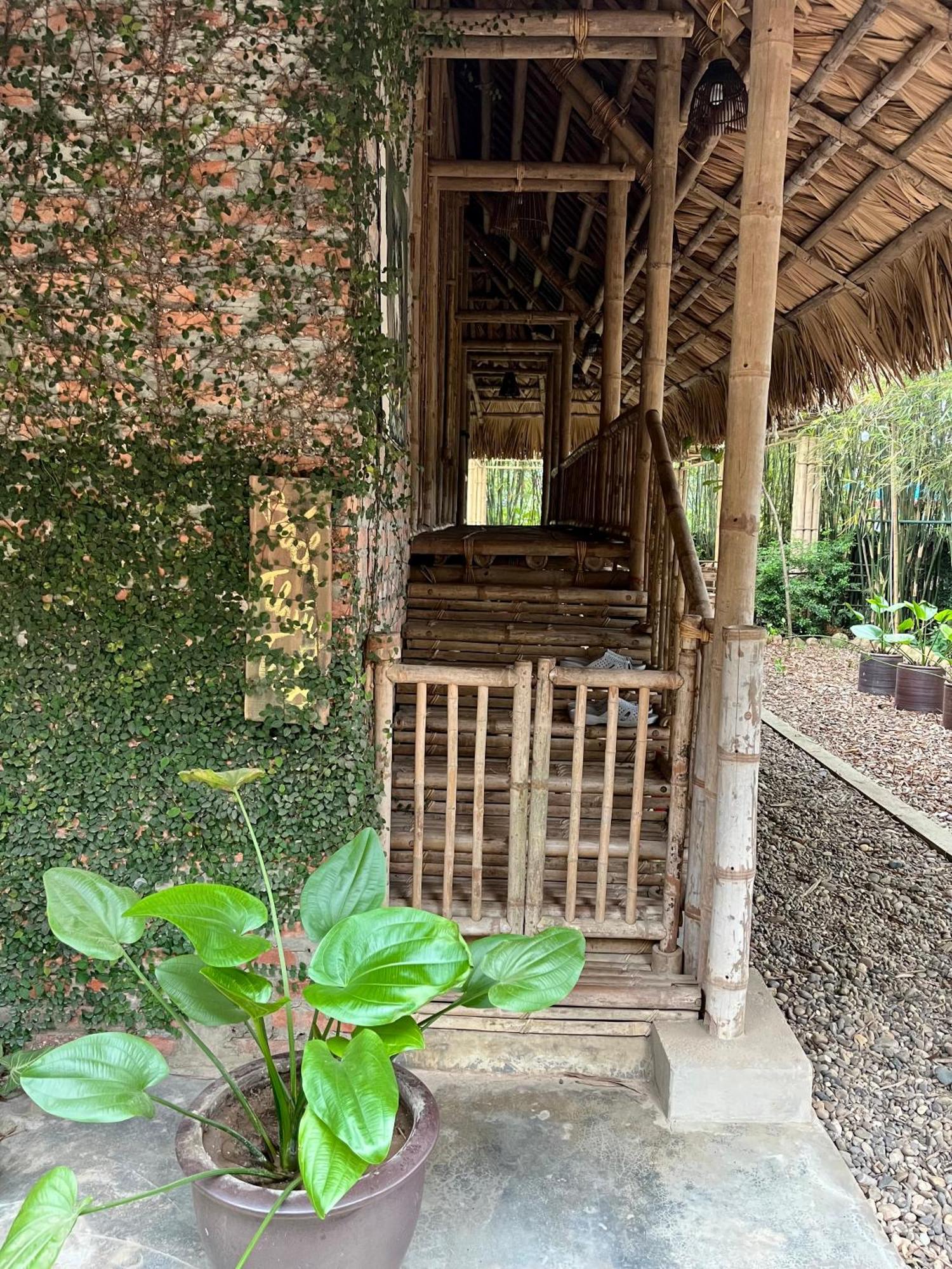 Dinh Gia Trang - Homestay & Coffee The Ruong Kültér fotó