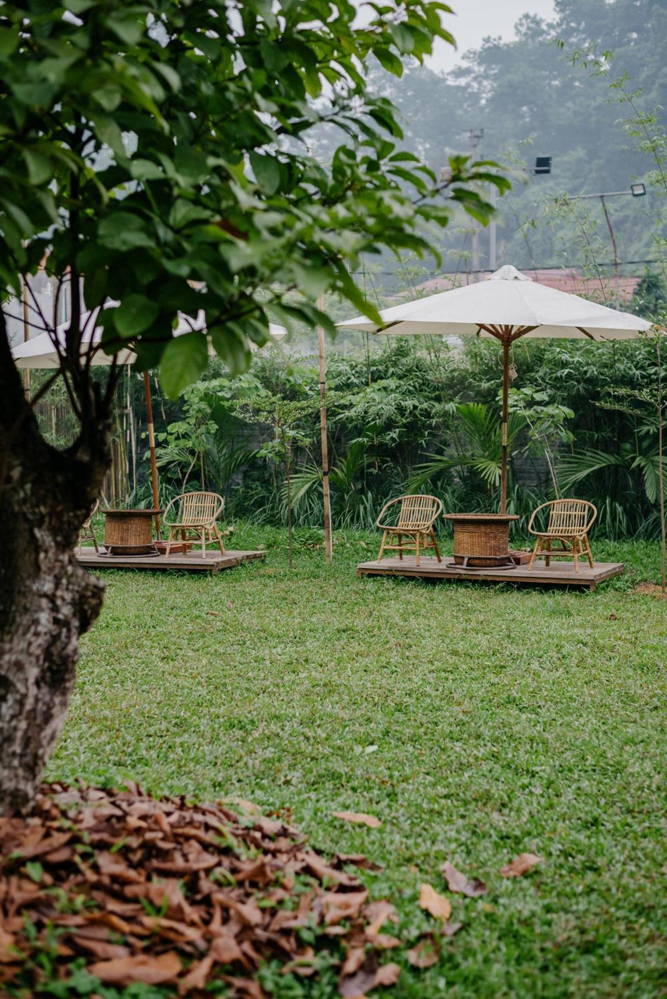 Dinh Gia Trang - Homestay & Coffee The Ruong Kültér fotó